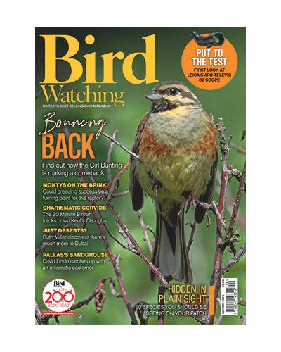 Bird Watching Magazine