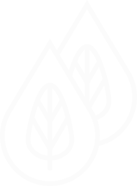 Icon design illustrate Great Magazine exploring vegetable based inks